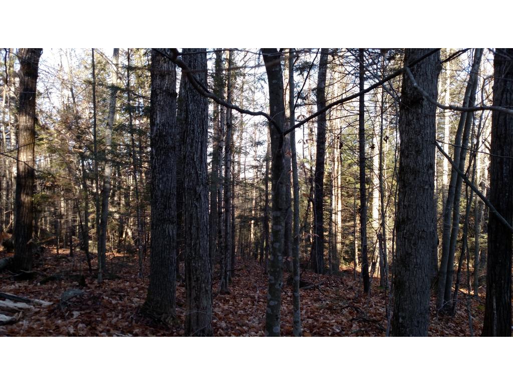 Lot #33 Cutts Road Newport, NH 03773 - Photo 7 of 12 Gallery Image 7