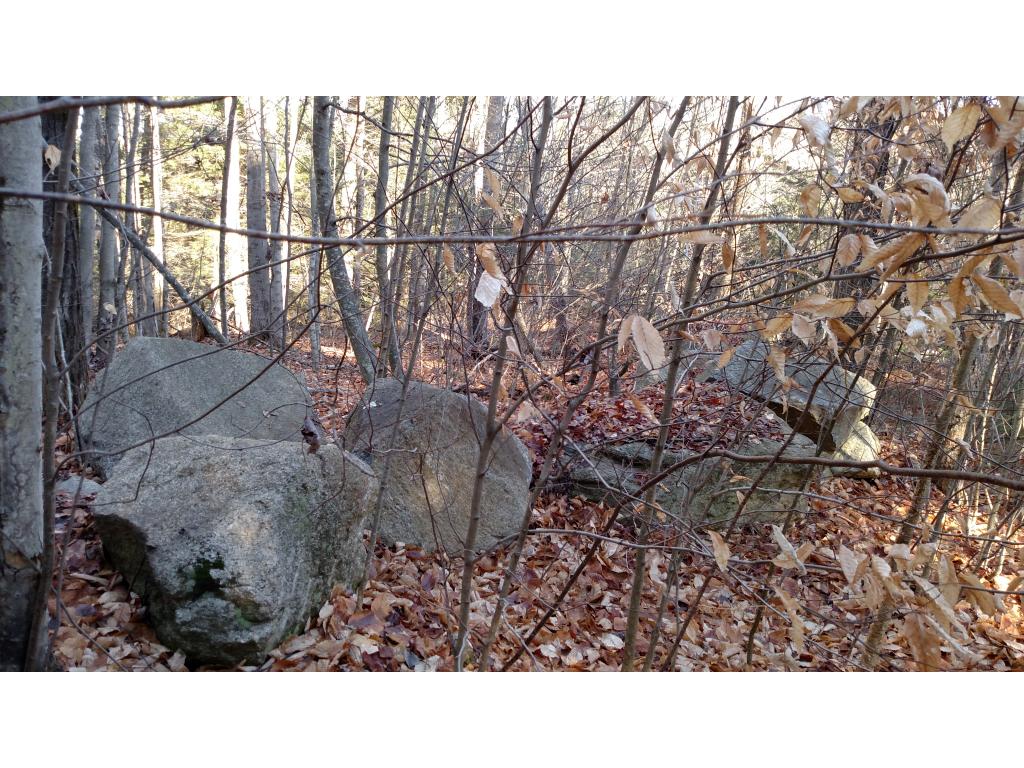 Lot #33 Cutts Road Newport, NH 03773 - Photo 8 of 12 Gallery Image 8