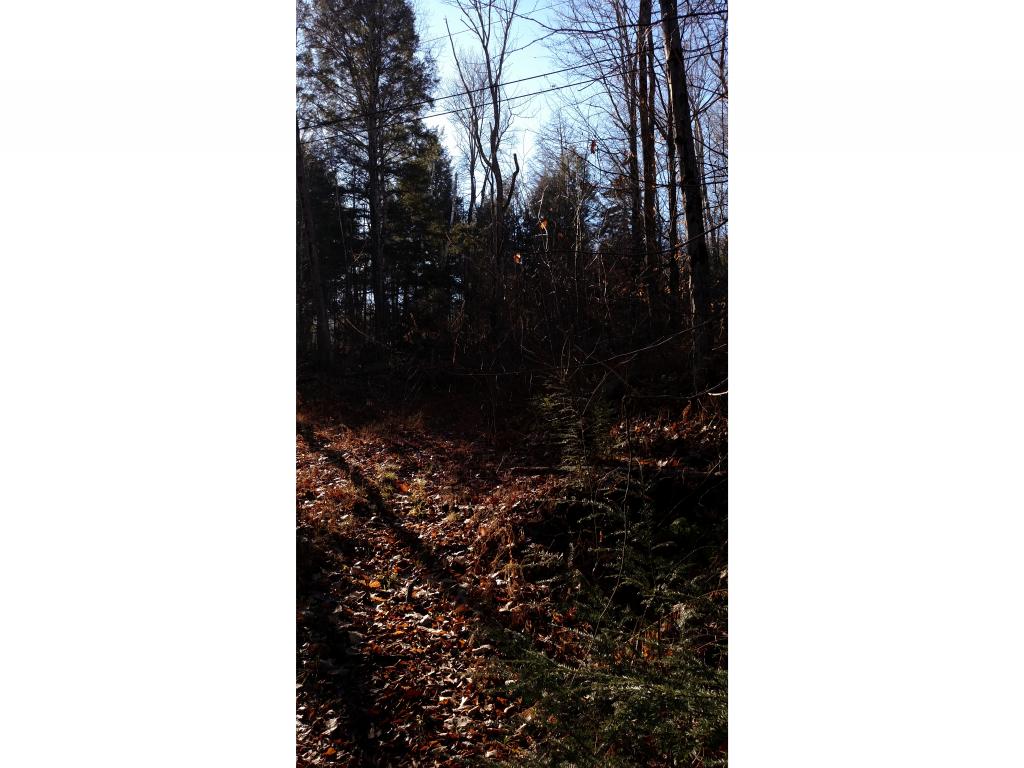 Lot #33 Cutts Road Newport, NH 03773 - Photo 10 of 12 Gallery Image 10