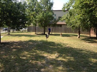 2811 Corbin Lane Austin, TX 78704 - Photo 2 of 16