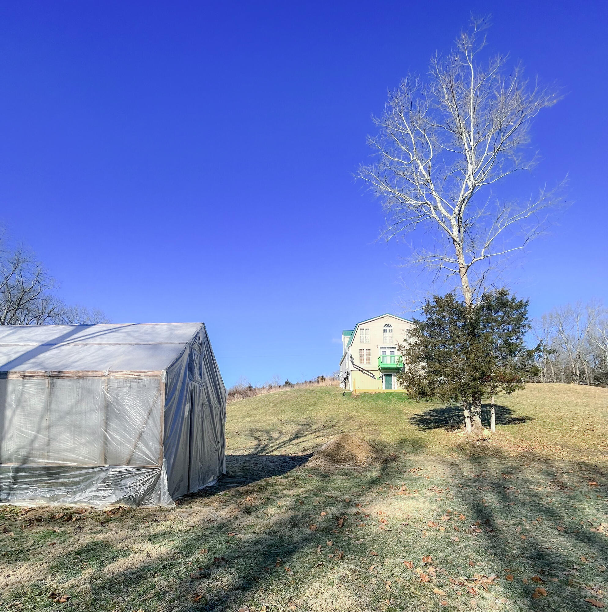 1883 Ogden Ridge Road Mount Olivet, KY 41064 - Photo 15 of 19 From Creek View
