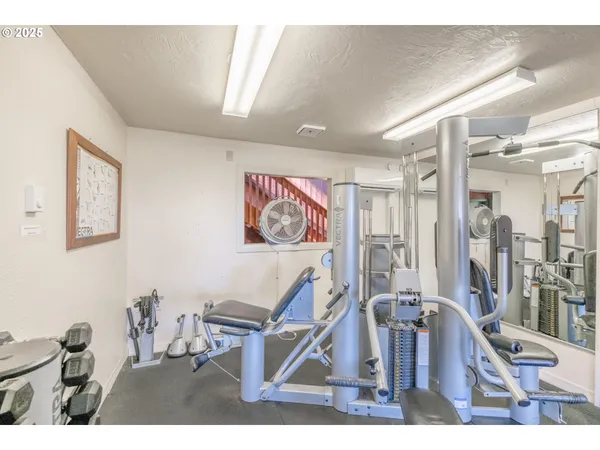 a view of a pathway both side of yard