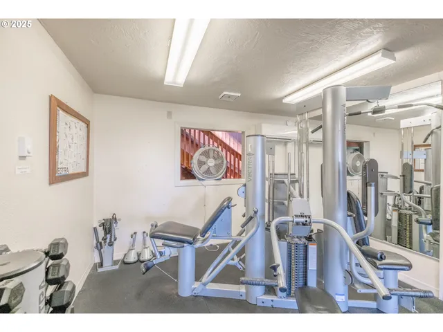 a view of a pathway both side of yard