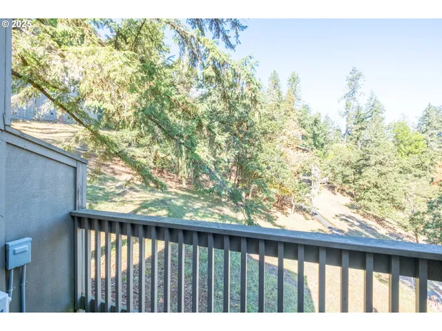 a view of a tree in a yard