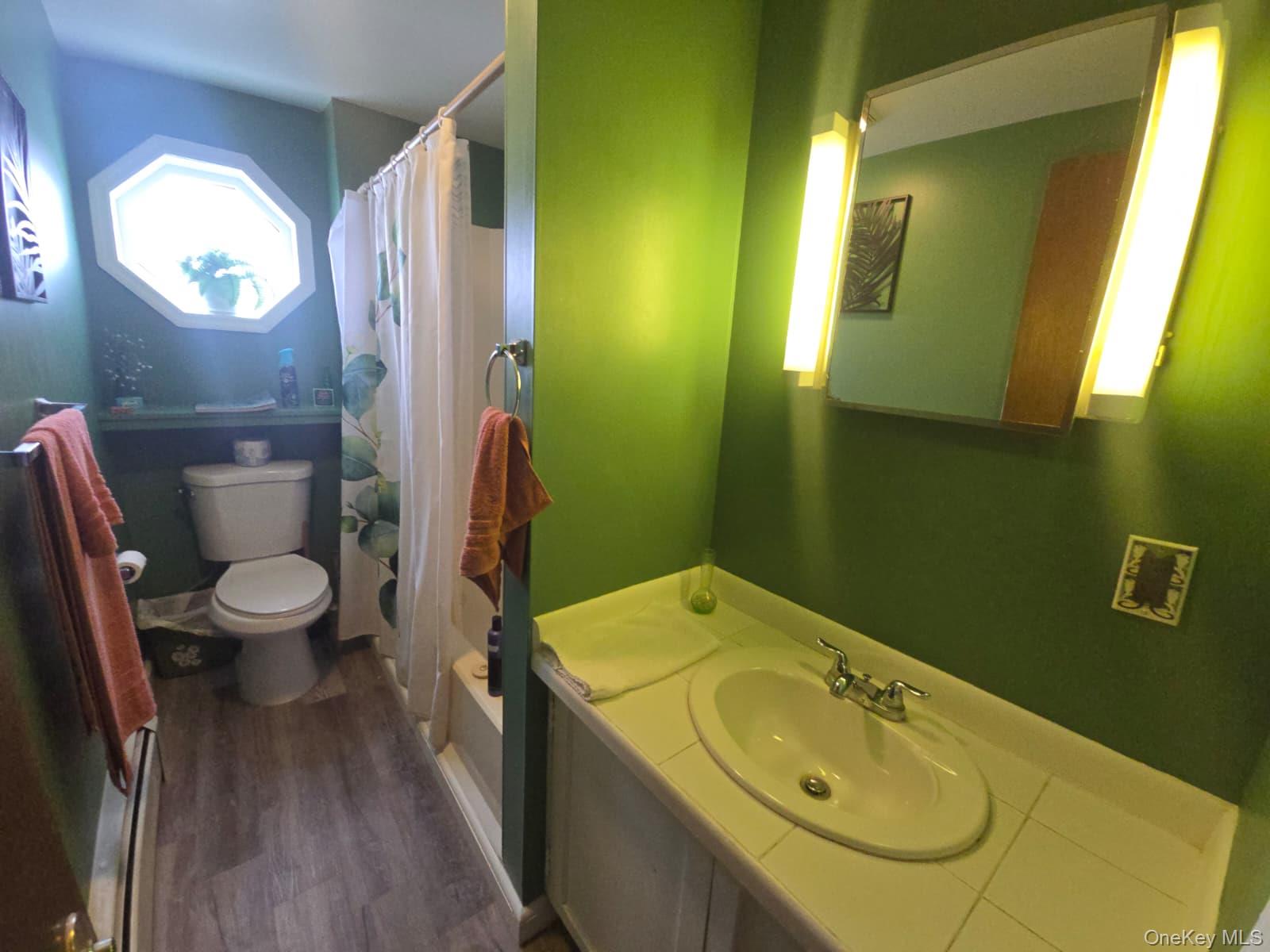 59 Bridge Street, Unit 2 Wallkill, NY 12589 - Photo 8 of 14 Full bathroom with vanity, a shower with curtain, and dark wood-type flooring