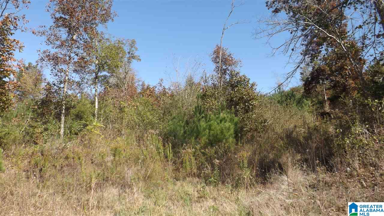 0 Highway 75, Unit 29 38 Oneonta, AL 35121 - Photo 17 of 30