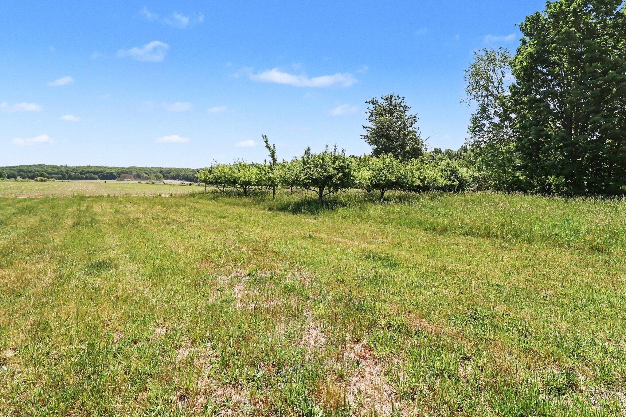3516 North Ridge Road Mears, MI 49436 - Photo 8 of 35 016_file_8900