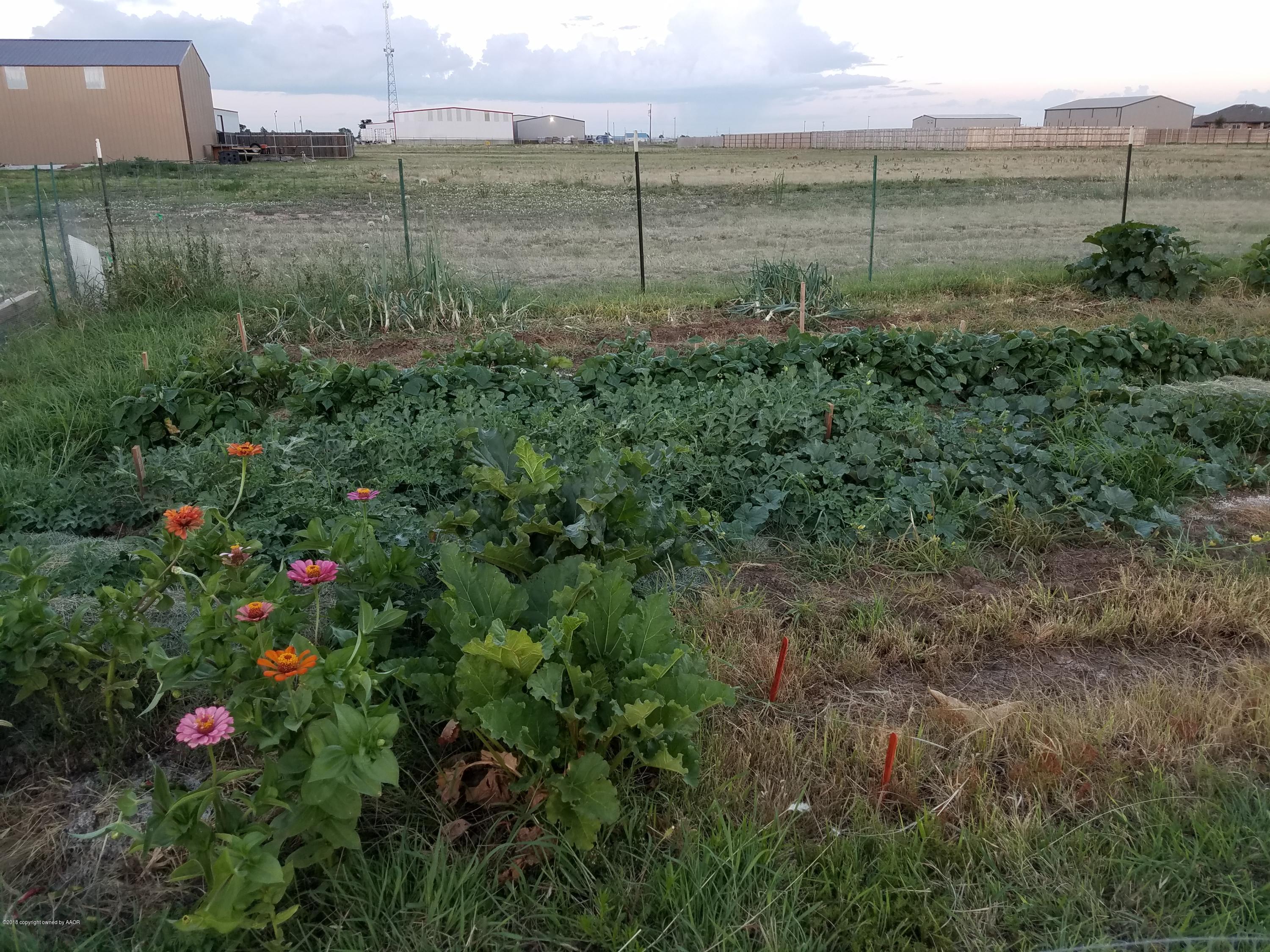 7601 Raburn Lane Canyon, TX 79015 - Photo 31 of 36 20170713_205122