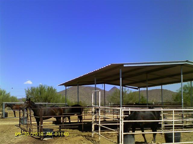1247 East Joy Ranch Road Phoenix, AZ 85086 - Photo 8 of 10 5