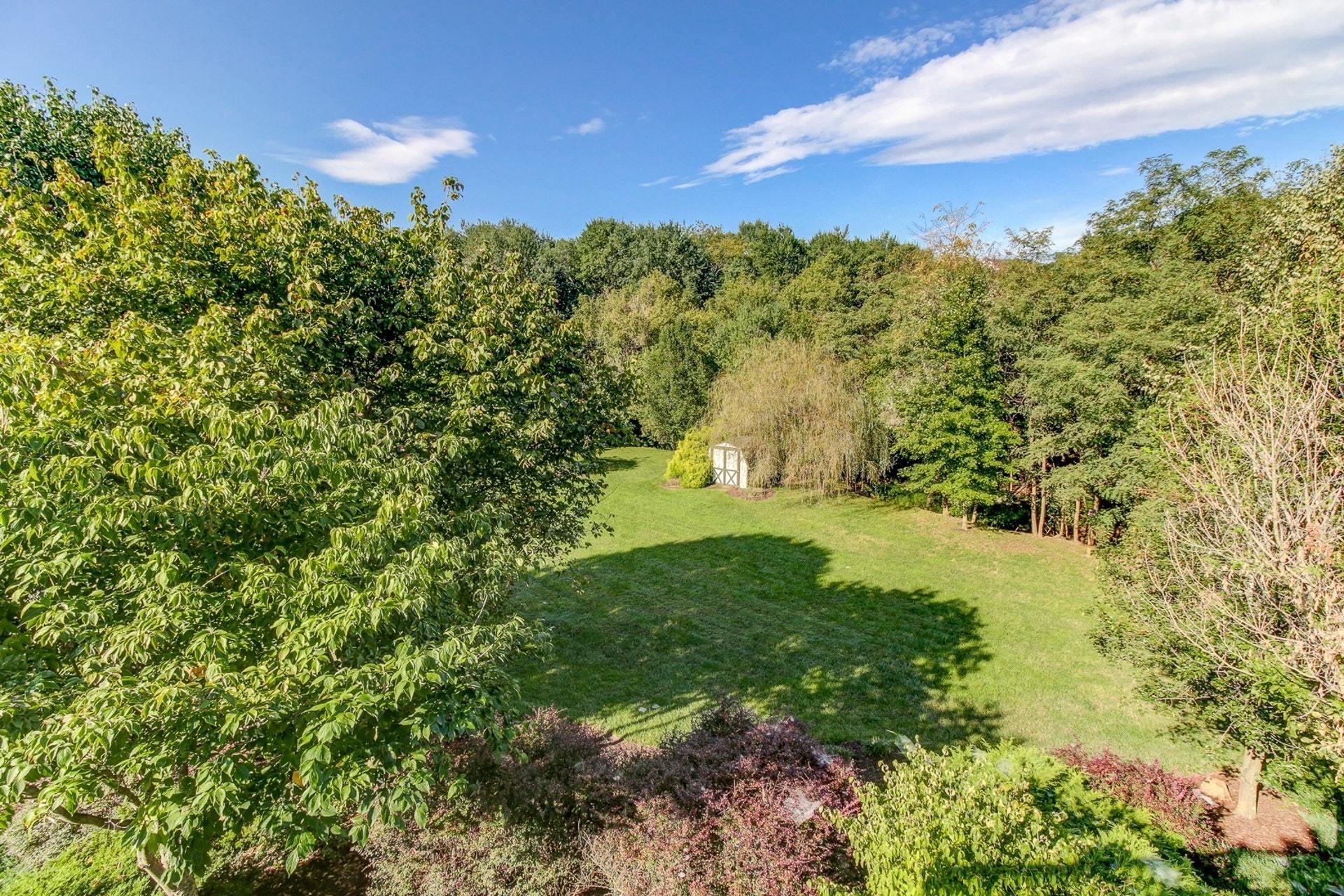 1737 Meadows Road Vinton, VA 24179 - Photo 20 of 37 a view of a yard with a tree