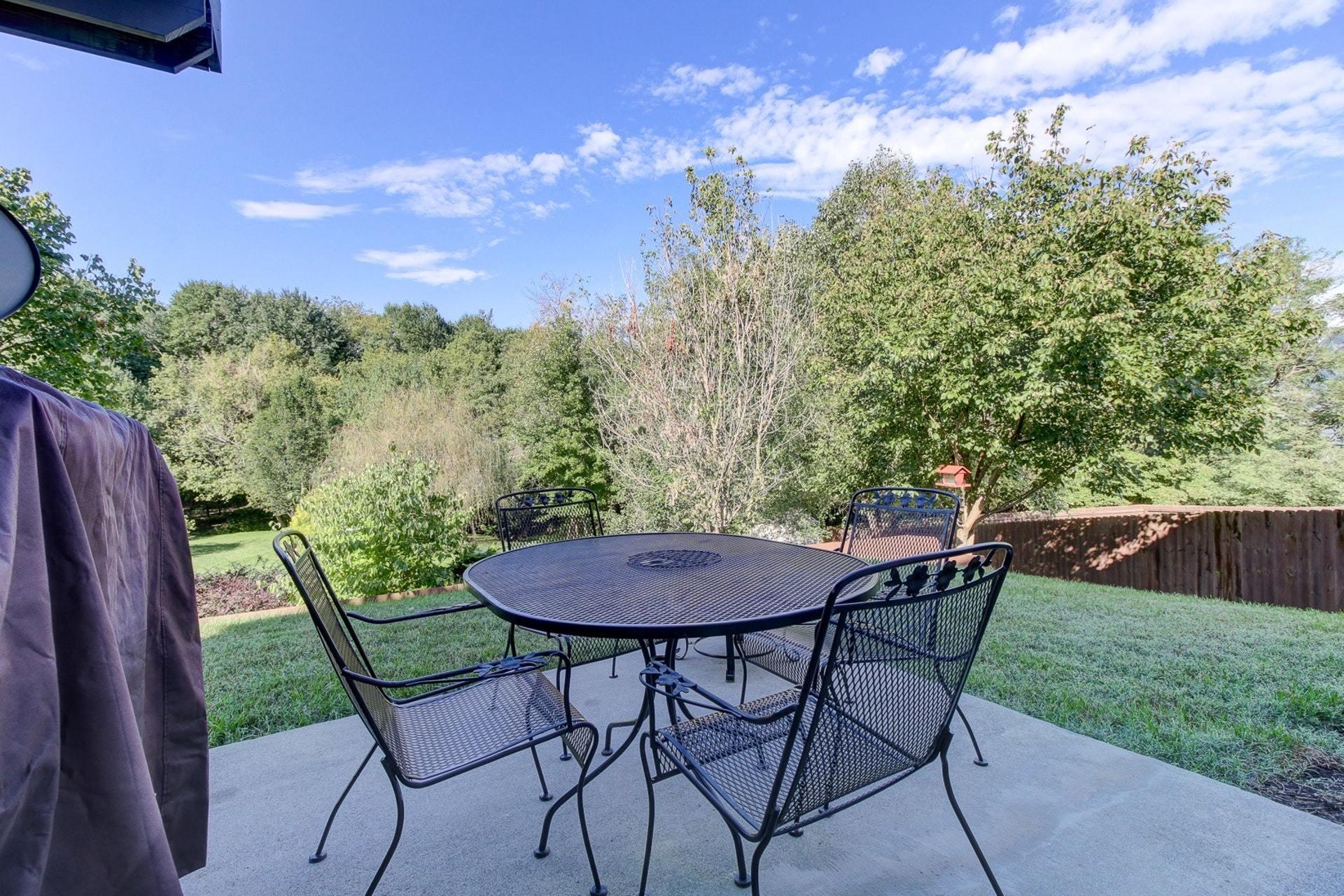 1737 Meadows Road Vinton, VA 24179 - Photo 31 of 37 a view of a chairs and table in the patio