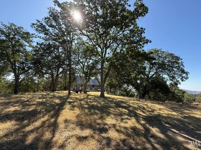 a view of a yard with large trees
