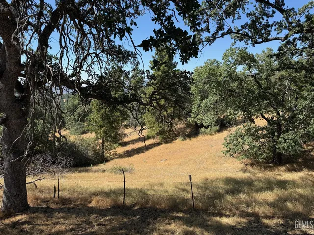 a living room with furniture and a ceiling fan