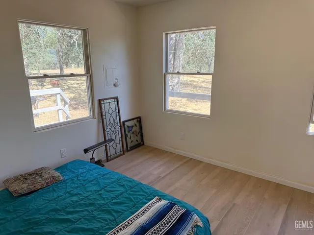 a view of yard with trees