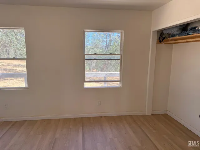 a view of a lush green space