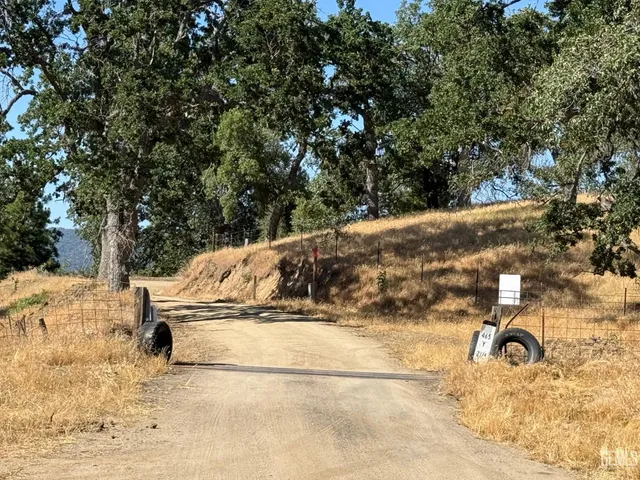 a view of yard with trees