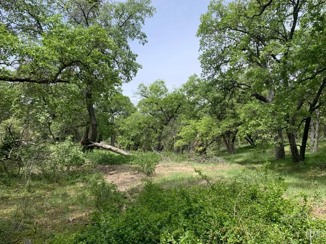 a view of a field with trees in background