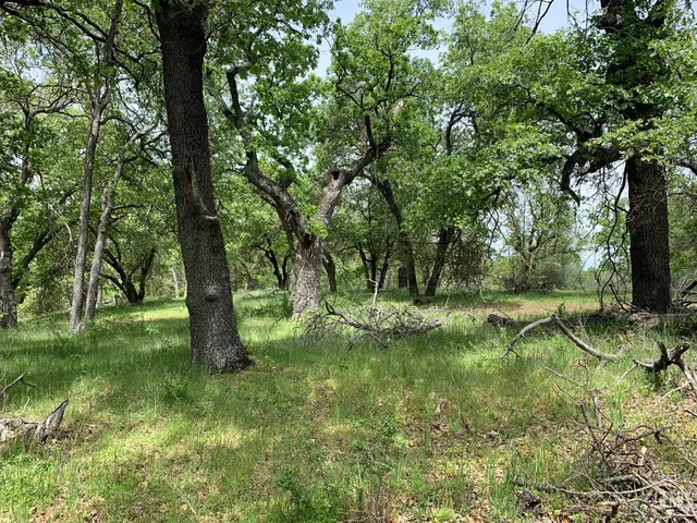a view of a field with trees in the background