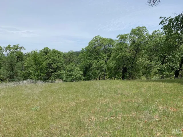 a view of backyard with green space