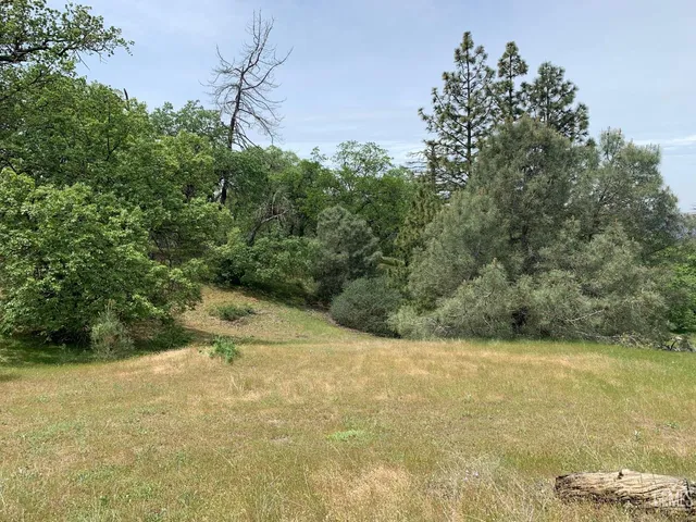 a view of a water fountain in the middle of a forest