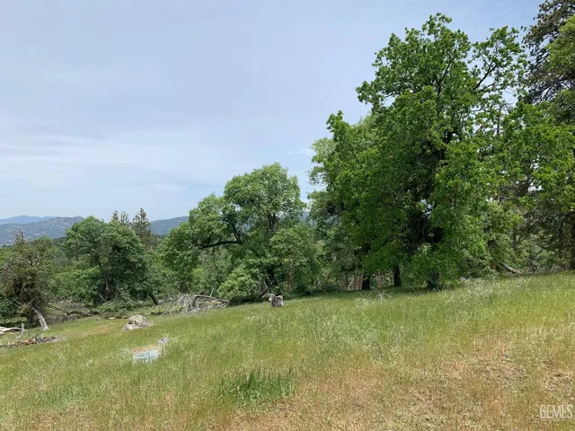 a view of a yard with a tree