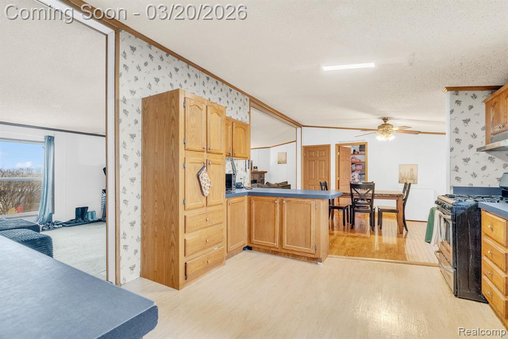 7151 Martin Road Imlay City, MI 48444 - Photo 6 of 49