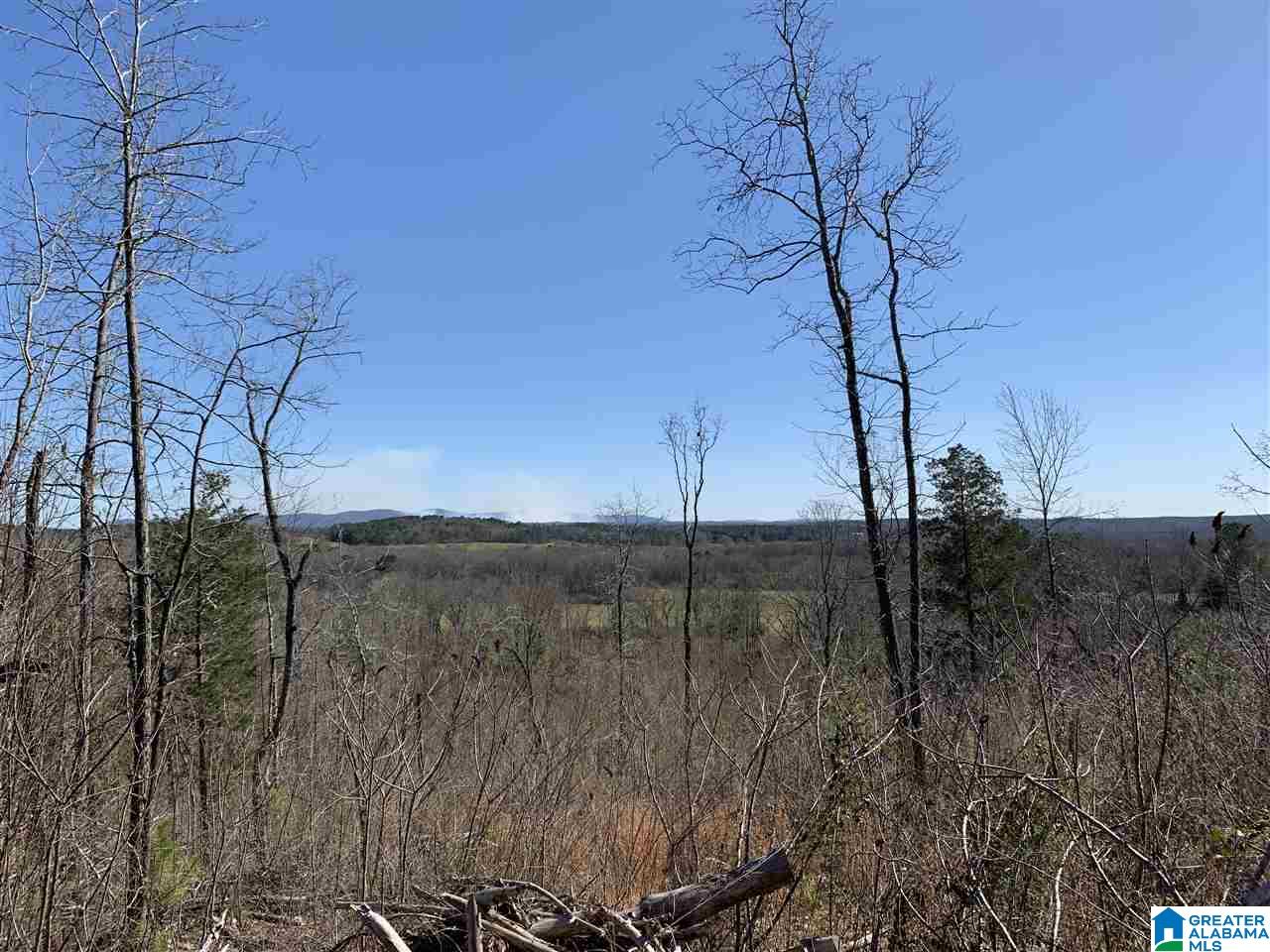 201 Barclay Road, Unit 115 AC Talladega, AL 35160 - Photo 23 of 30