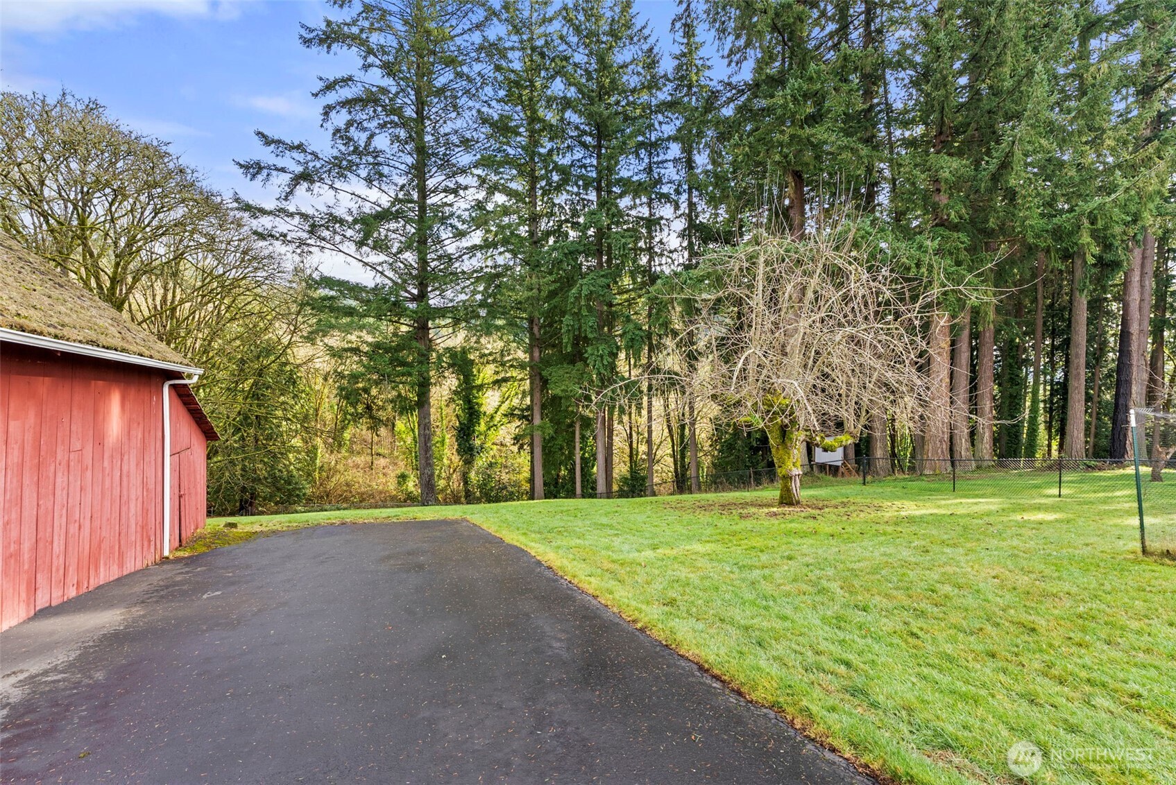 162 Southeast 16th Street Chehalis, WA 98532 - Photo 34 of 39 a big yard with trees in the background