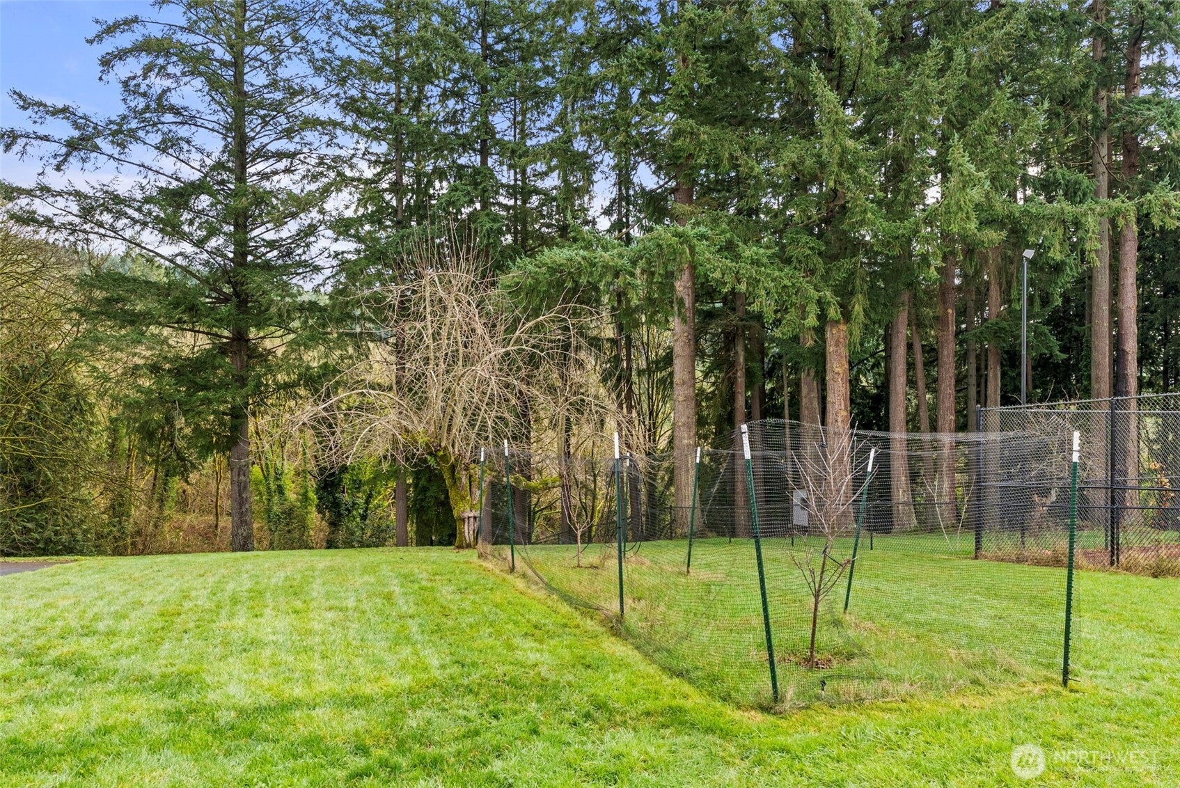 162 Southeast 16th Street Chehalis, WA 98532 - Photo 35 of 39 a view of a park with a tree