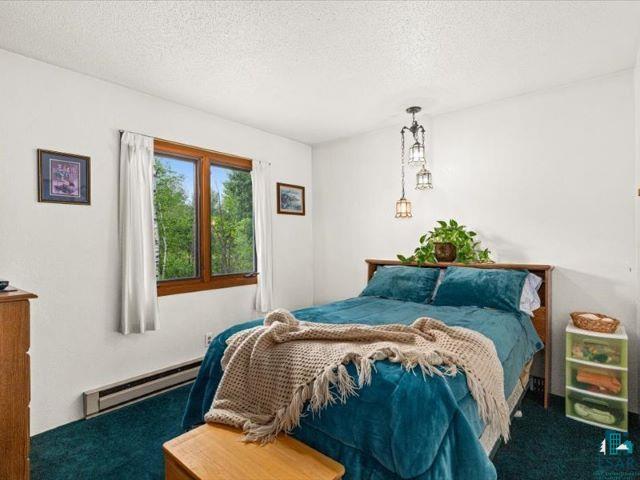 3616 Lavaque Road Hermantown, MN 55811 - Photo 30 of 43 Spacious bedroom featuring light-colored walls and dark green carpeting