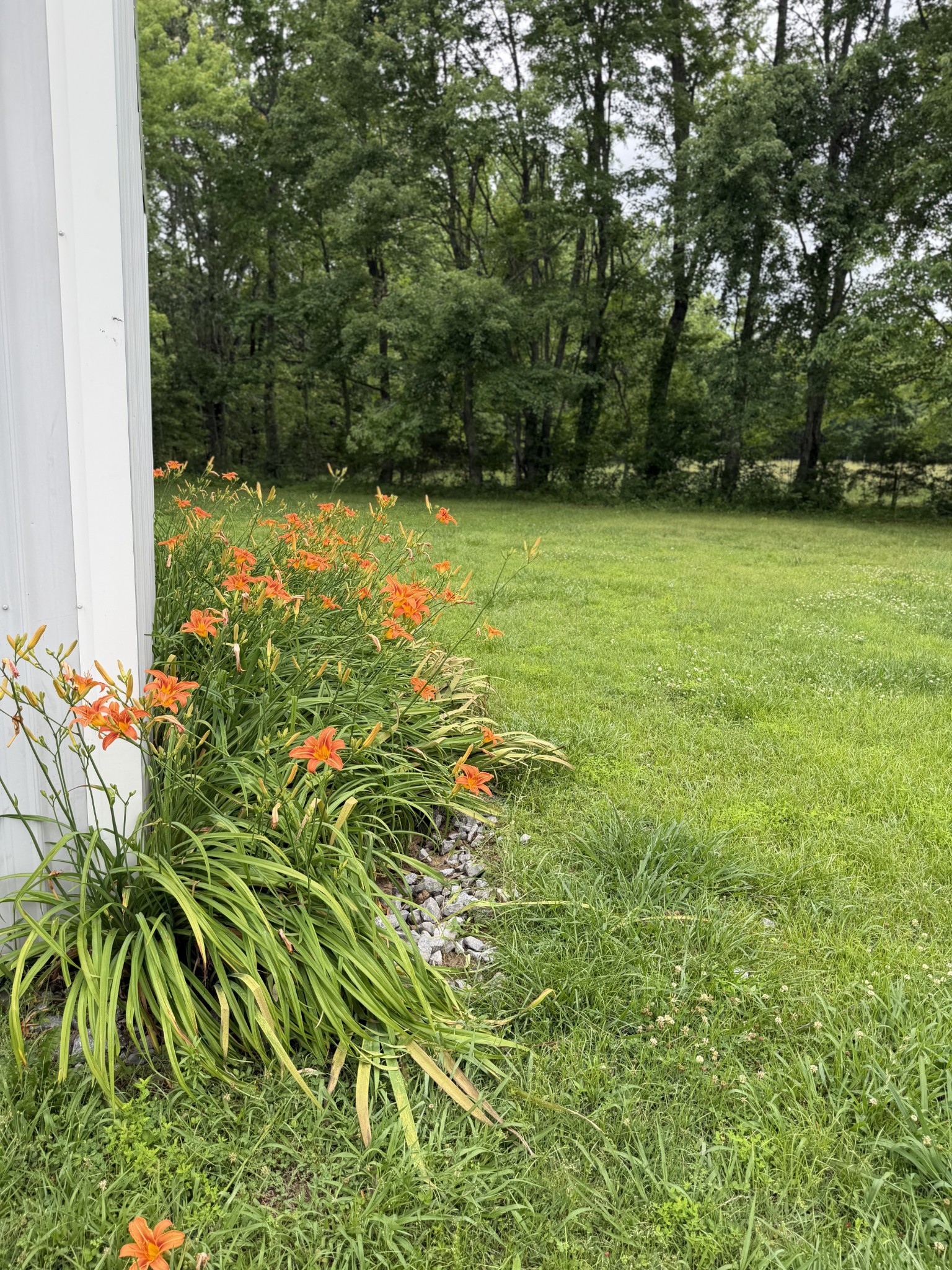 1751 Union Camp Road Lafayette, TN 37083 - Photo 17 of 17