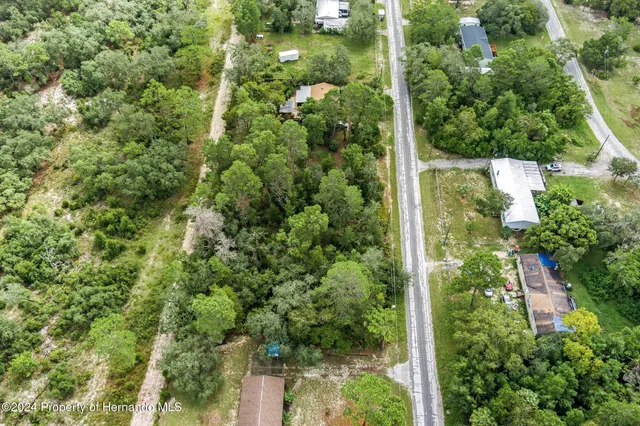 an aerial view of residential houses with outdoor space and trees