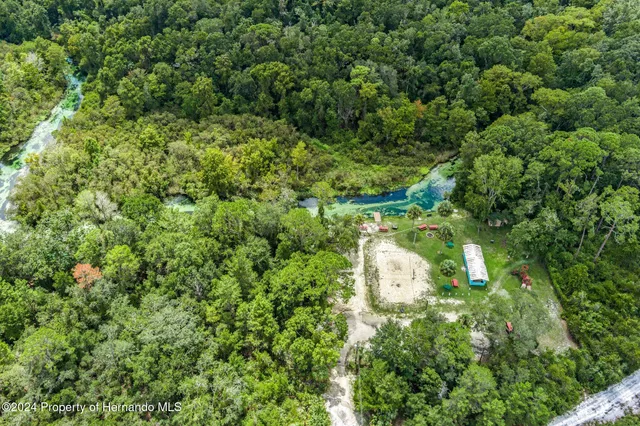 a view of a lush green forest with houses