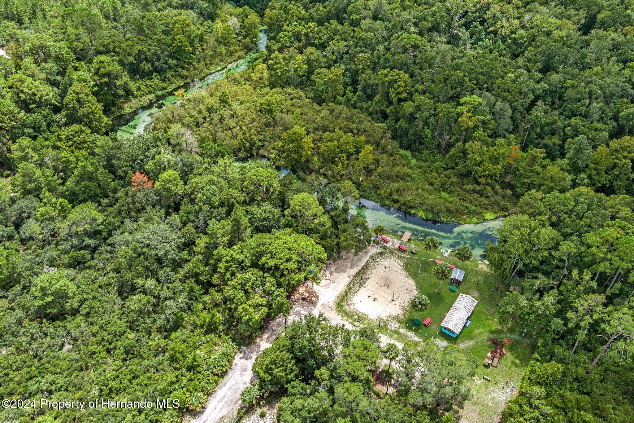 8055 Filson Street Weeki Wachee, FL 34613 - Photo 24 of 30 a map view of a lush green forest