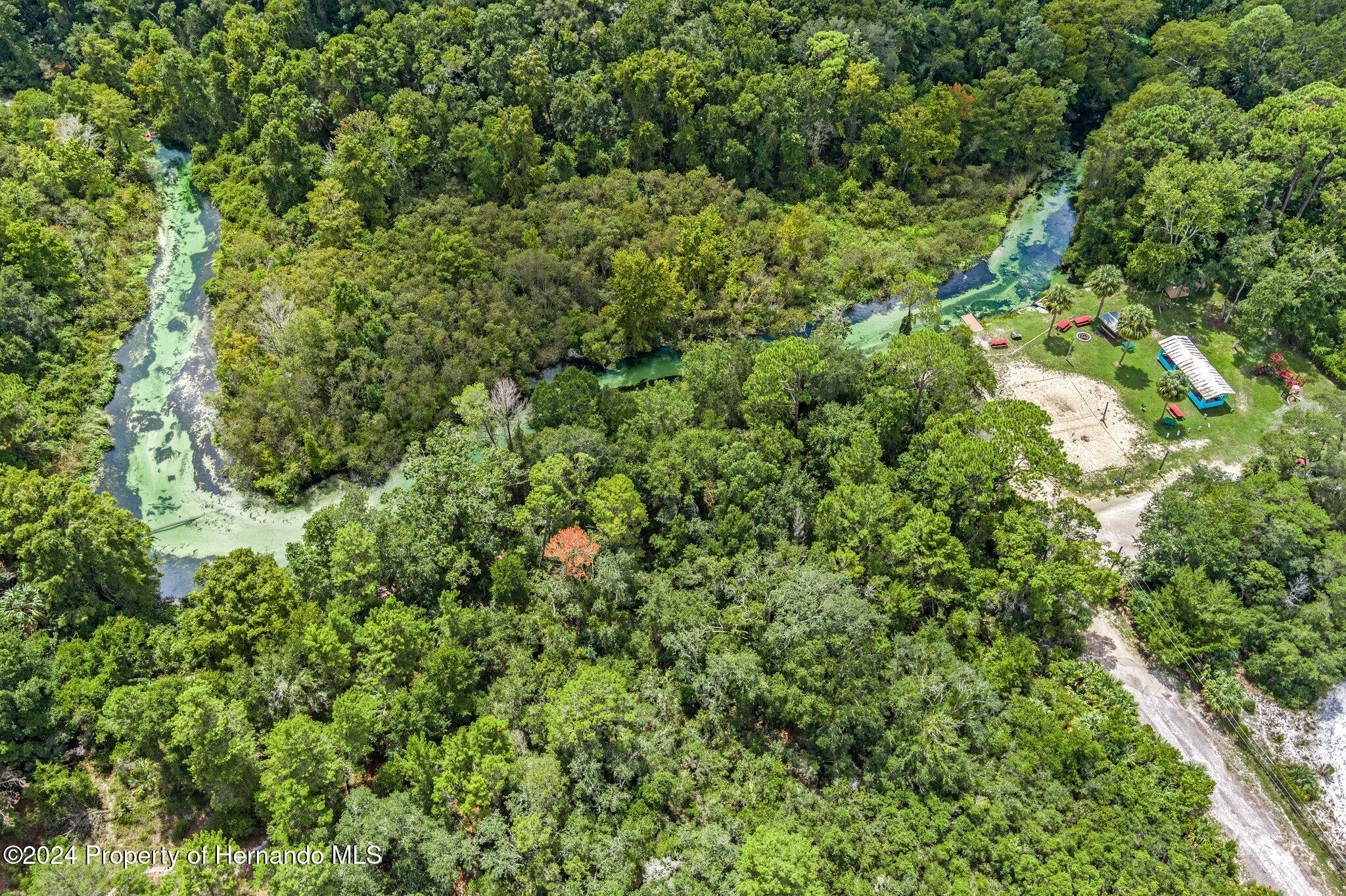 8055 Filson Street Weeki Wachee, FL 34613 - Photo 25 of 30 a view of a lush green forest with houses