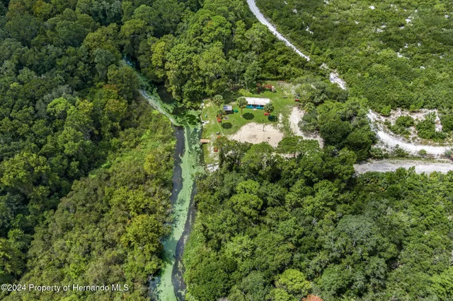a view of a yard with a tree