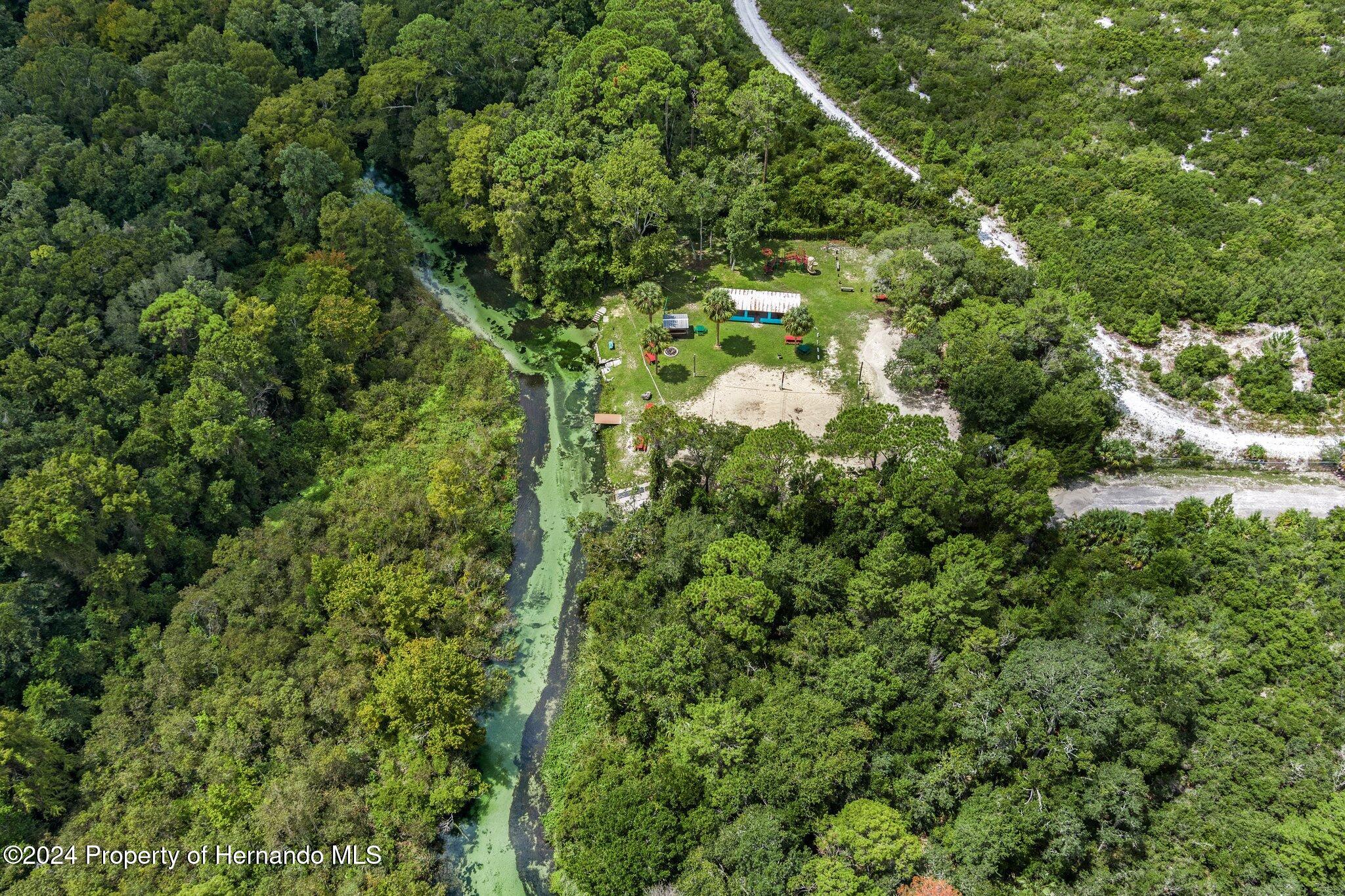 8055 Filson Street Weeki Wachee, FL 34613 - Photo 26 of 30 a view of a forest with a tree