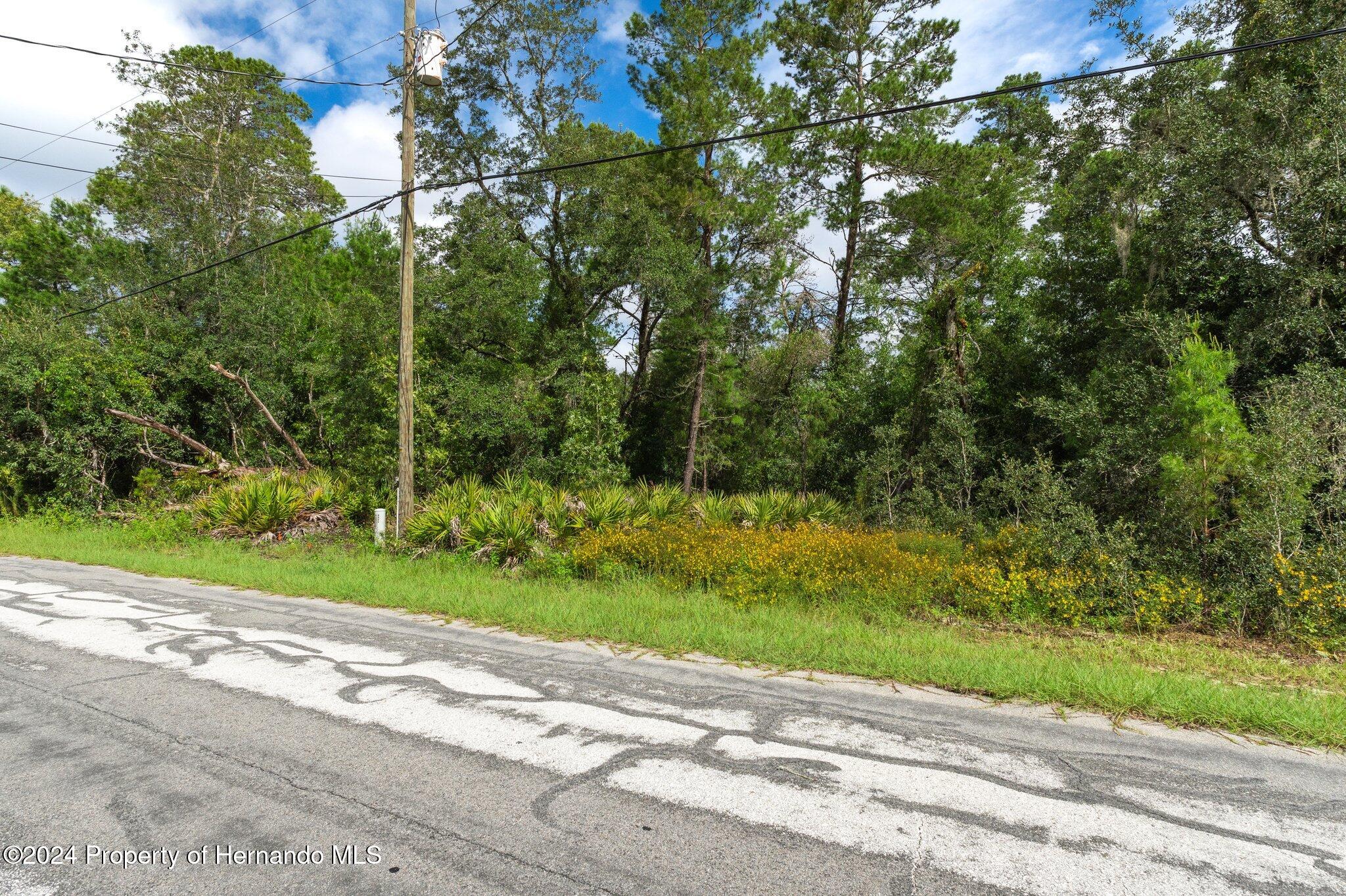 8055 Filson Street Weeki Wachee, FL 34613 - Photo 28 of 30 a view of a yard with a tree