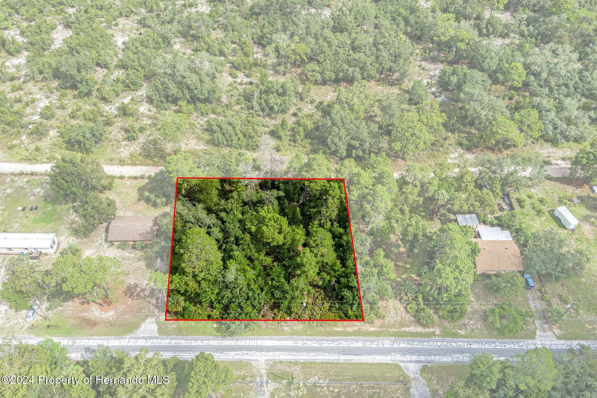 8055 Filson Street Weeki Wachee, FL 34613 - Photo 4 of 30 a view of a yard