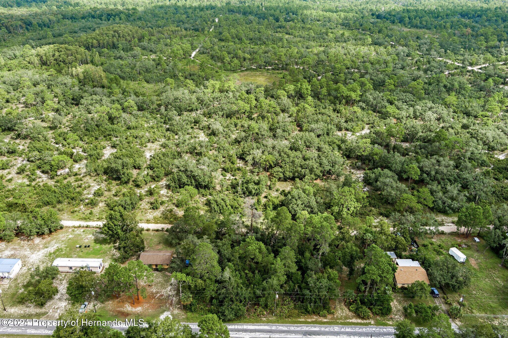 8055 Filson Street Weeki Wachee, FL 34613 - Photo 7 of 30 a view of a house with a tree