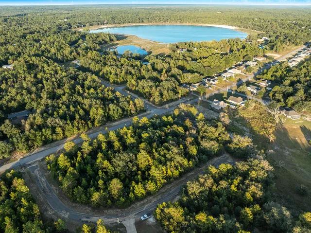 an aerial view of residential houses with outdoor space and trees