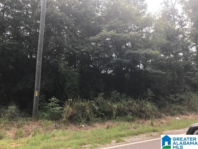 0 Vance Blocton Road, Unit 47 3 ACRES West Blocton, AL 35184 - Photo 1 of 4