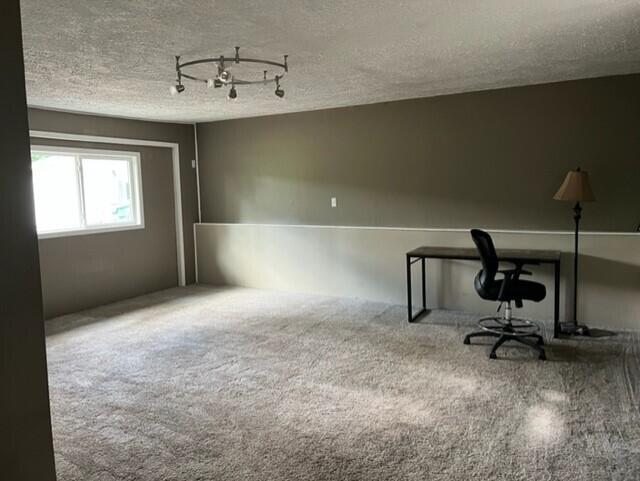 67591 Shimmel Road Sturgis, MI 49091 - Photo 22 of 28 Family room