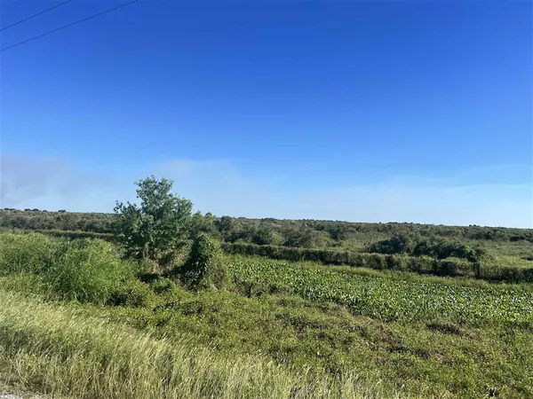 $40,000 | 0 Hwy 27 Highway, Cameron, LA 70631