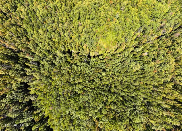 $259,900 | Tiffany Lane, Jamestown, TN 38556