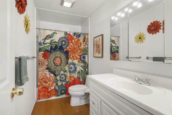 a bathroom with a sink mirror vanity and toilet