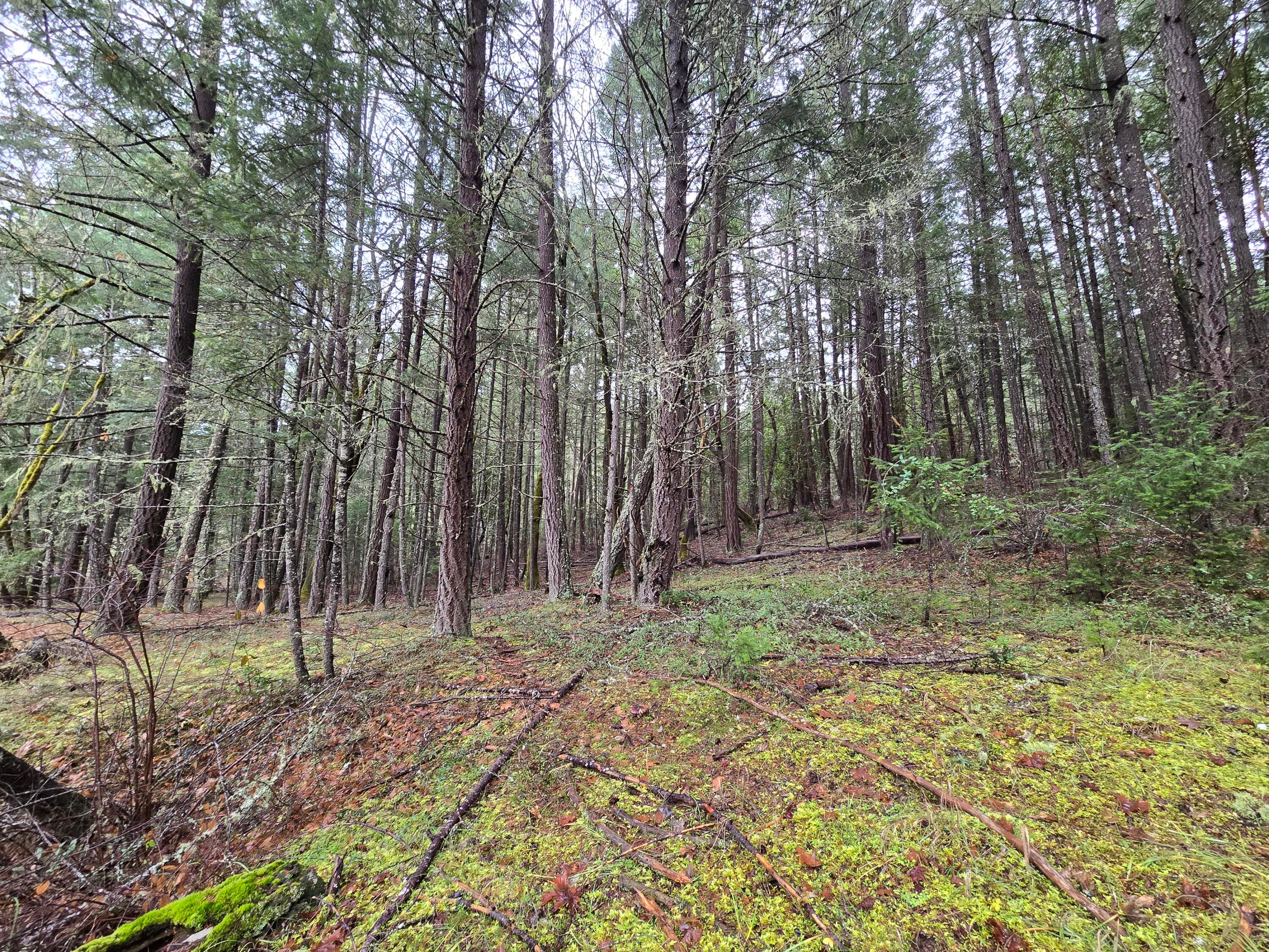5000 Thompson Creek Road Jacksonville, OR 97530 - Photo 28 of 70 8