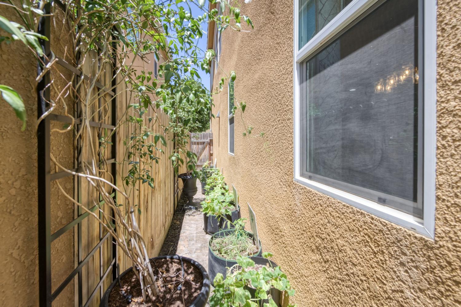 3562 Luminary Way Clovis, CA 93619 - Photo 35 of 40