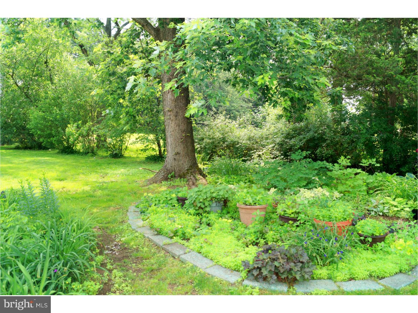 16 Buckwalter Road Audubon, PA 19403 - Photo 20 of 23 Garden