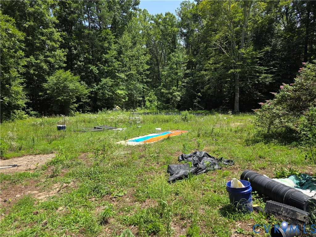 3161 Dorrell Road Aylett, VA 23009 - Photo 29 of 41 a view of a garden with large trees